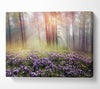Sun Through The Bluebell Woodland Canvas Wall Art