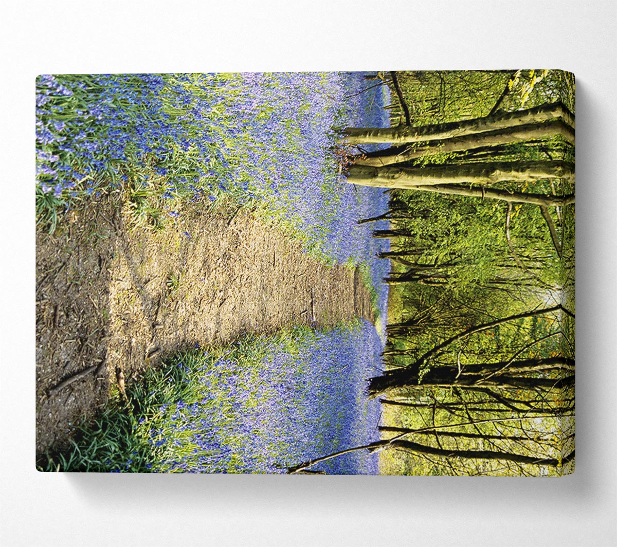 Bluebell Path Canvas Wall Art