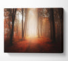 Light From Heaven Canvas Wall Art
