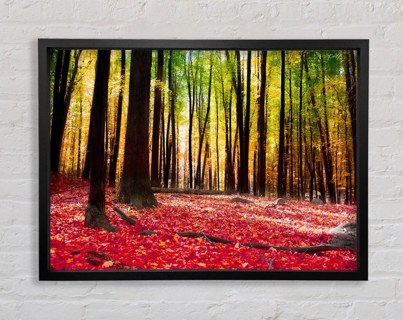 Autumn Leaves Framed Wall Art