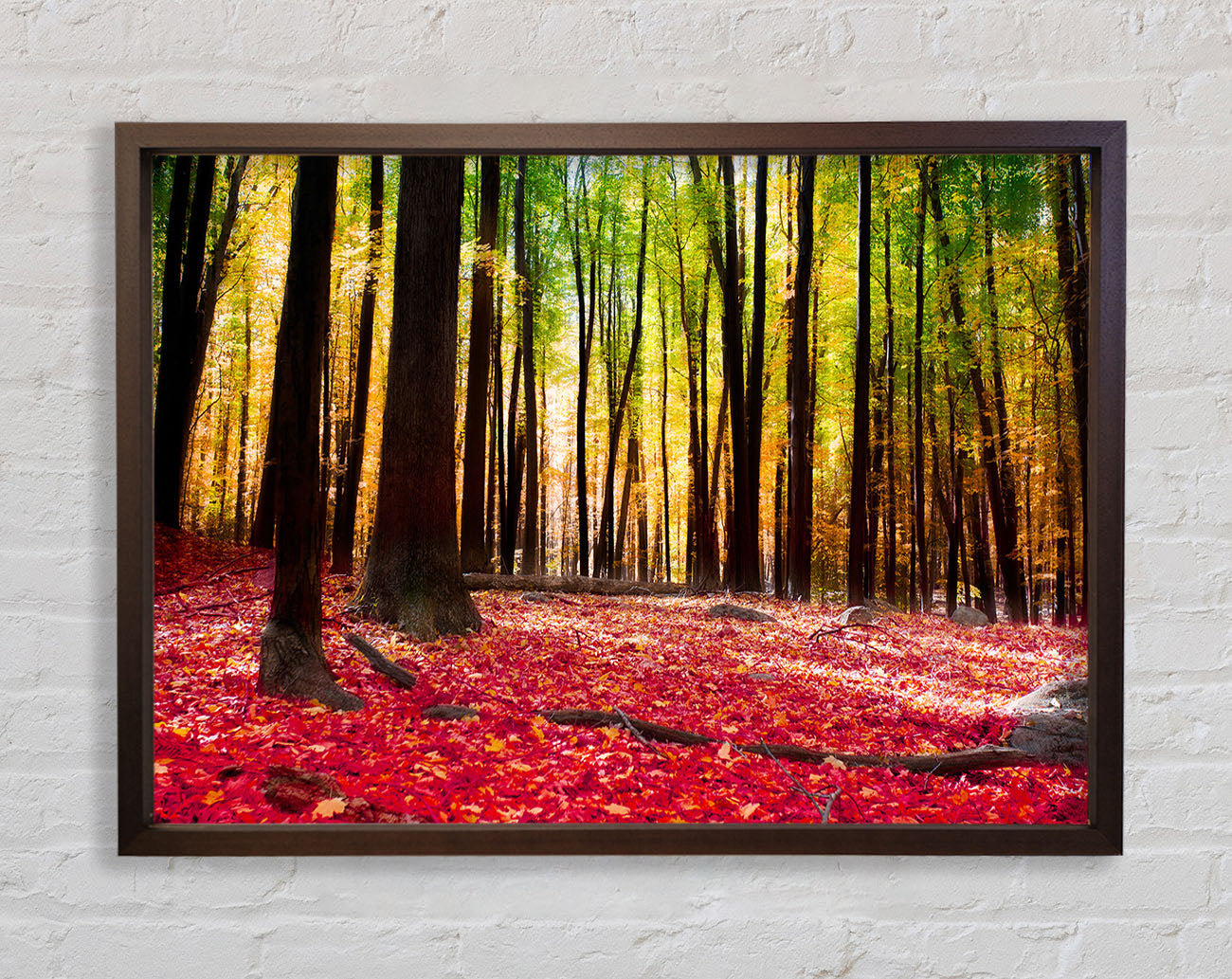 Autumn Leaves Framed Wall Art