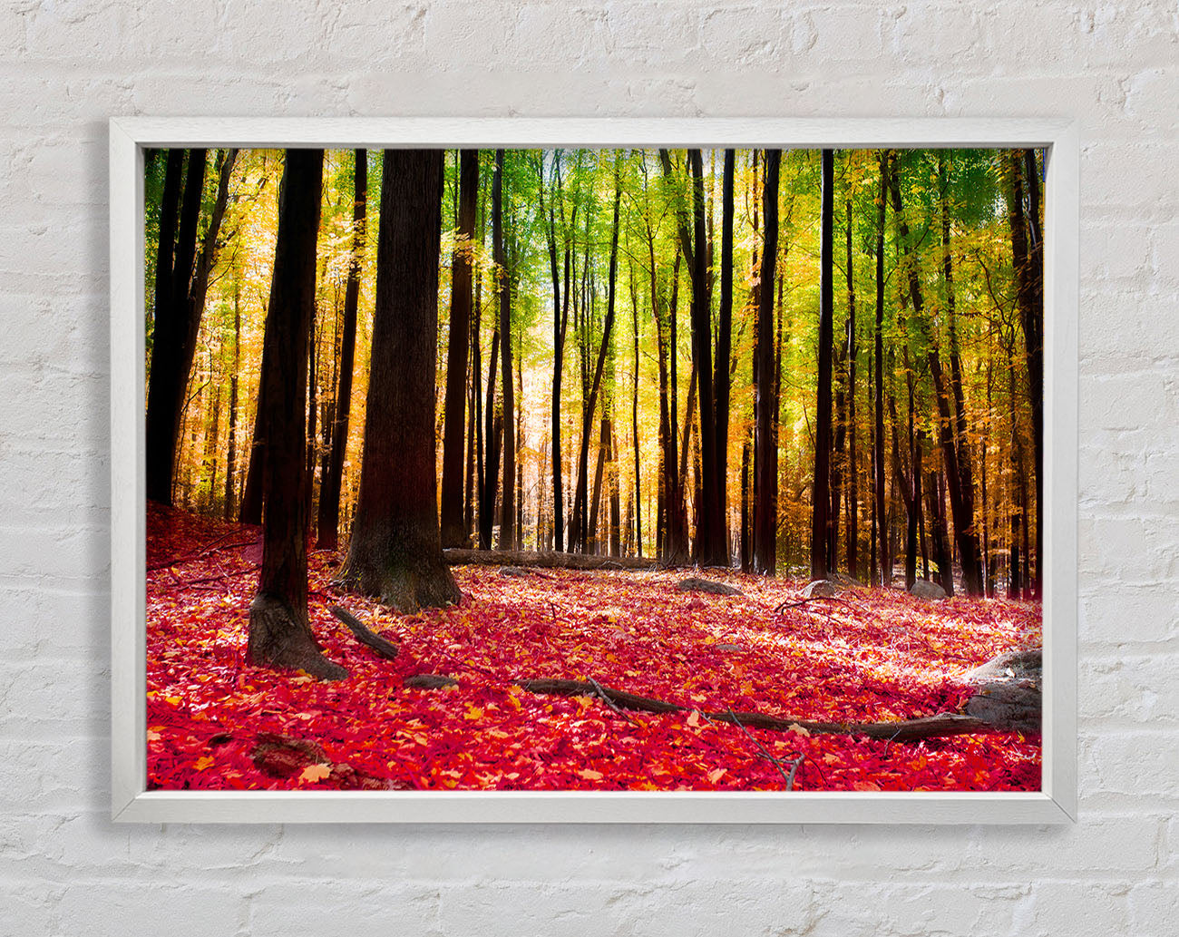 Autumn Leaves Framed Wall Art