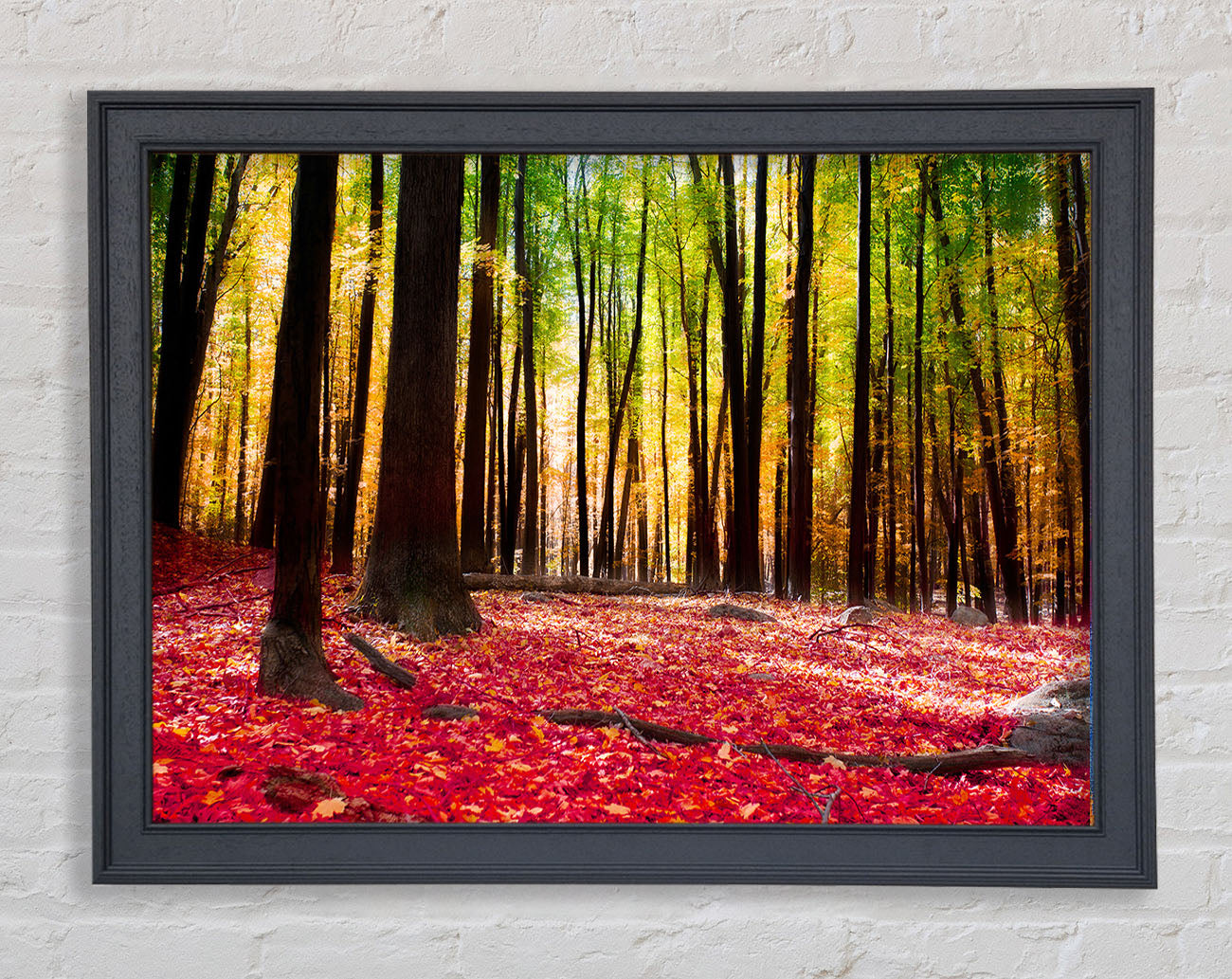 Autumn Leaves Framed Wall Art