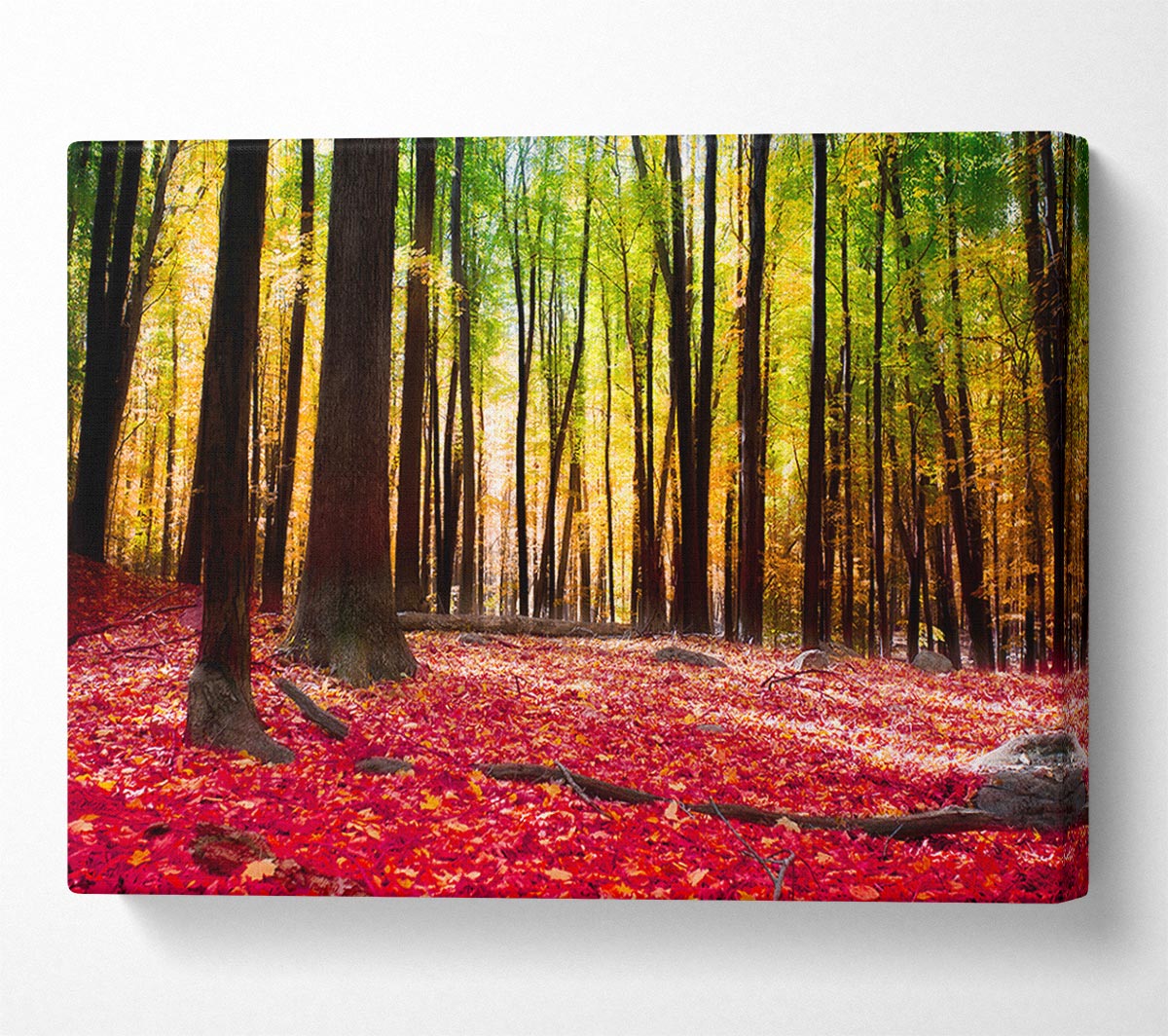 Autumn Leaves Canvas Wall Art