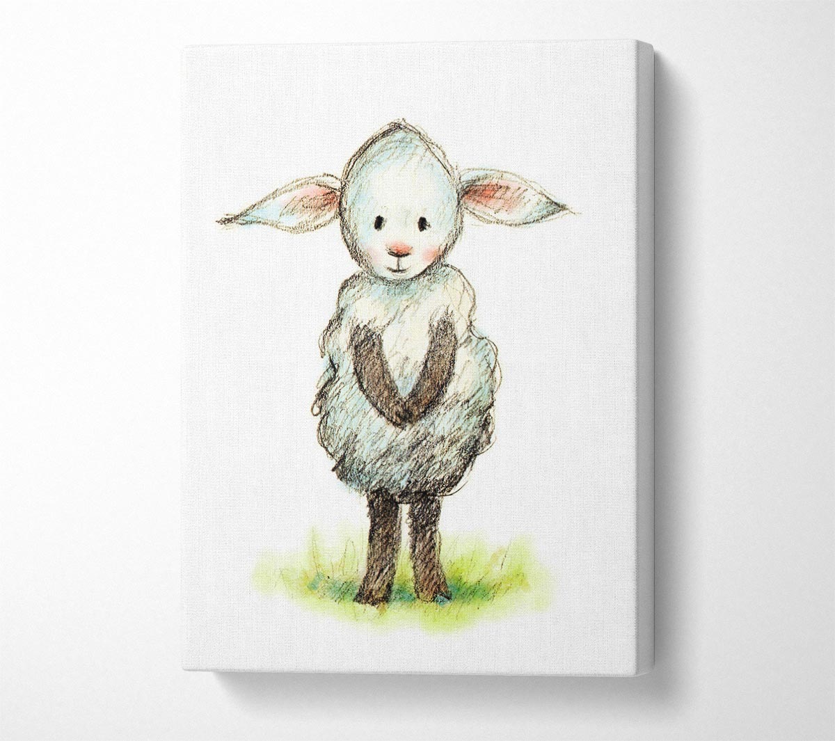 Shy Sheep Canvas Wall Art
