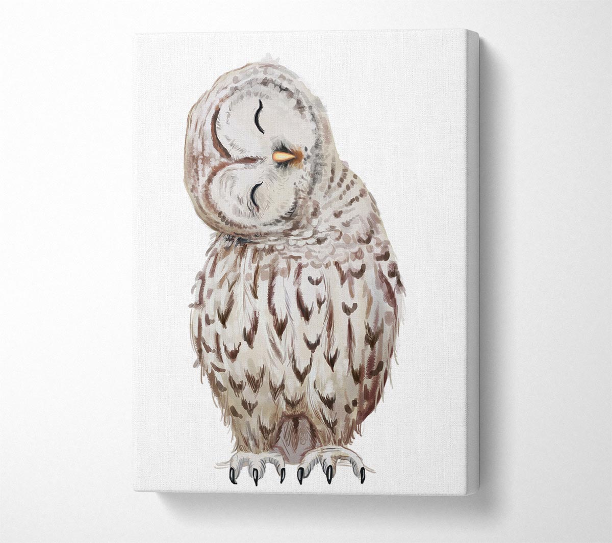 Owl Feathers Canvas Wall Art