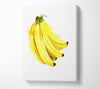 Bunch Of Bananas Canvas Wall Art