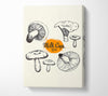 Milk Cap Mushrooms Canvas Wall Art