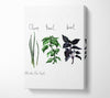 Herb Selection 4 Canvas Wall Art
