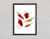 Choose Your Chili Framed Wall Art