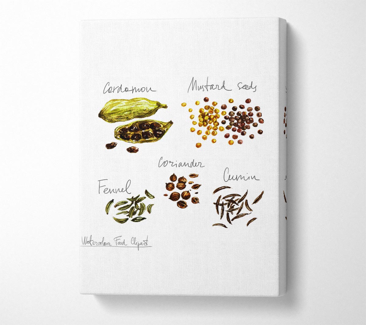 Spice Selection 1 Canvas Wall Art