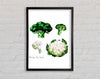 Cauliflower And Broccoli Framed Wall Art