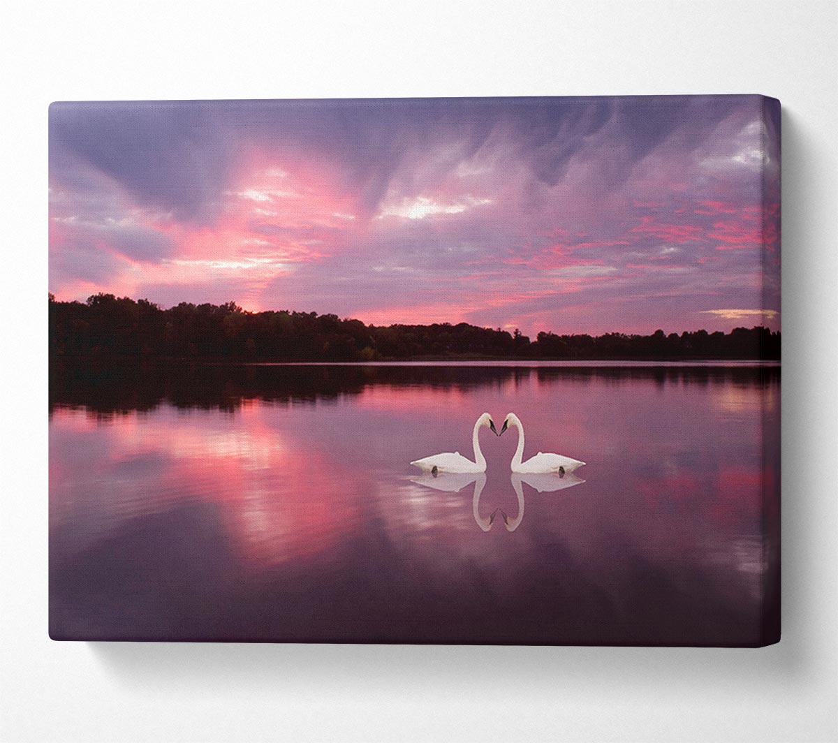 Perfect Swan Waters Canvas Wall Art