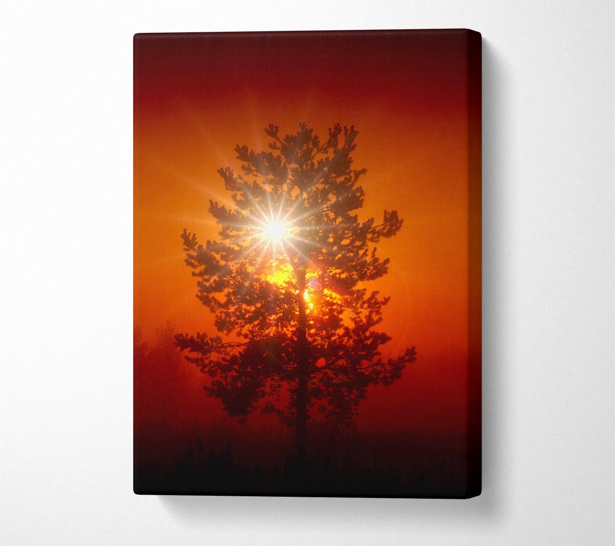Orange Skies Canvas Wall Art