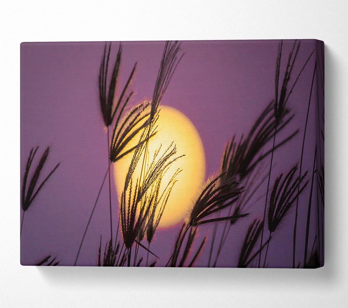 Yellow Sun In The Purple Sky Canvas Wall Art