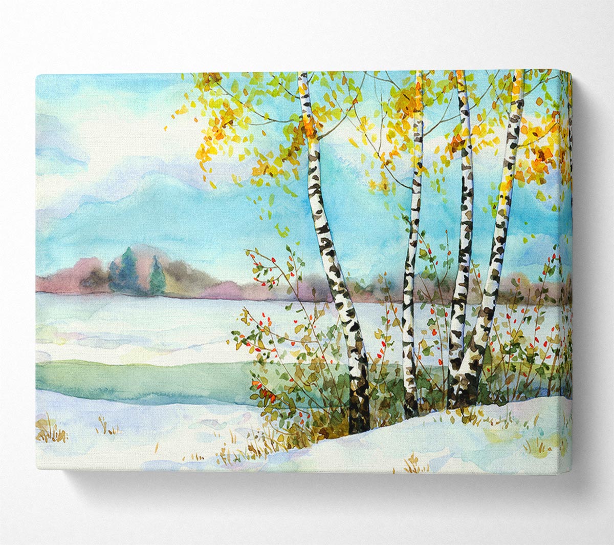 Silver Birch Winter Canvas Wall Art