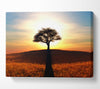 Sun Behind The Old Oak Tree Canvas Wall Art