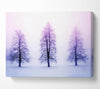 Purple Winter Trees Canvas Wall Art