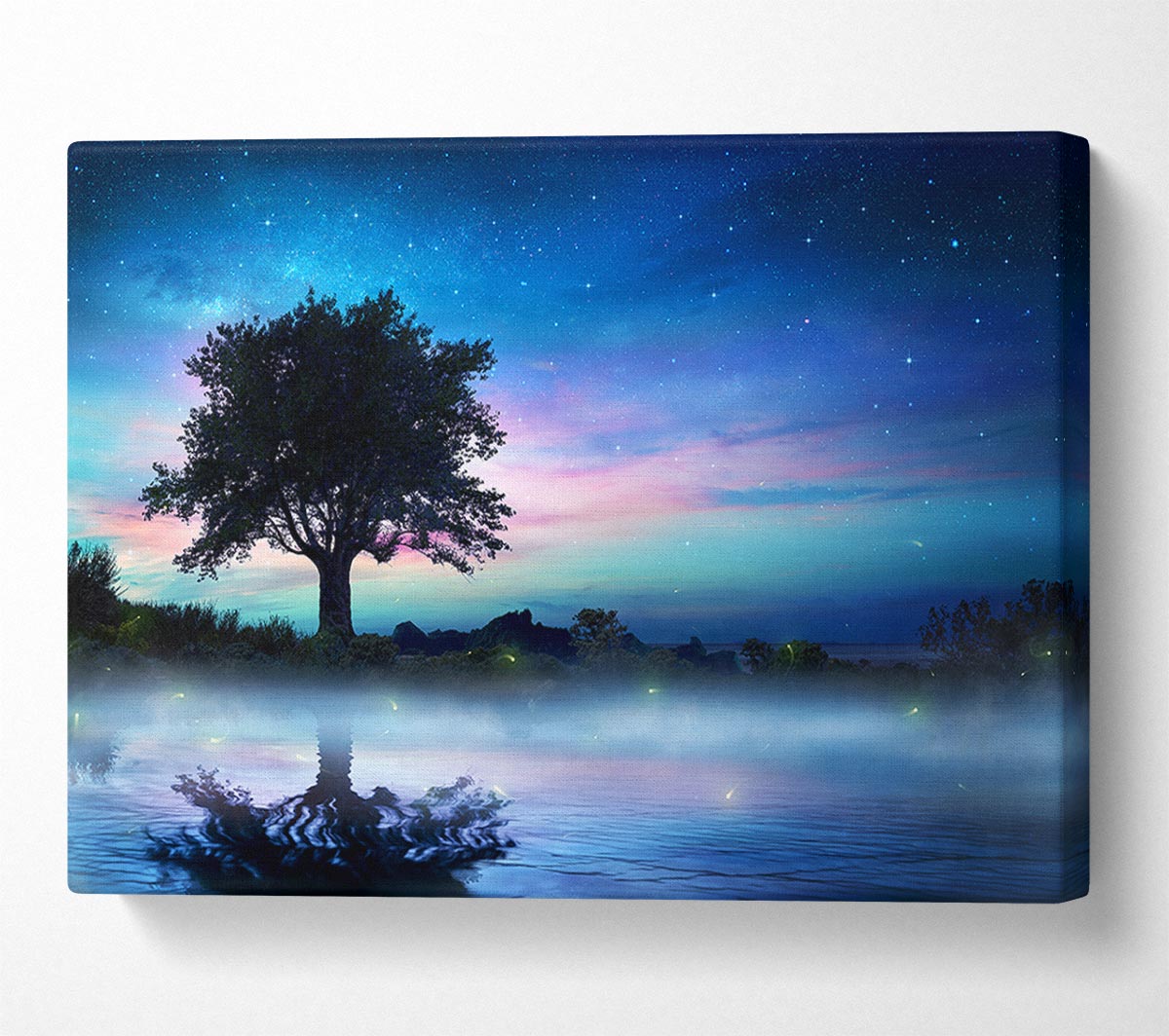 Woodland Fairies Canvas Wall Art