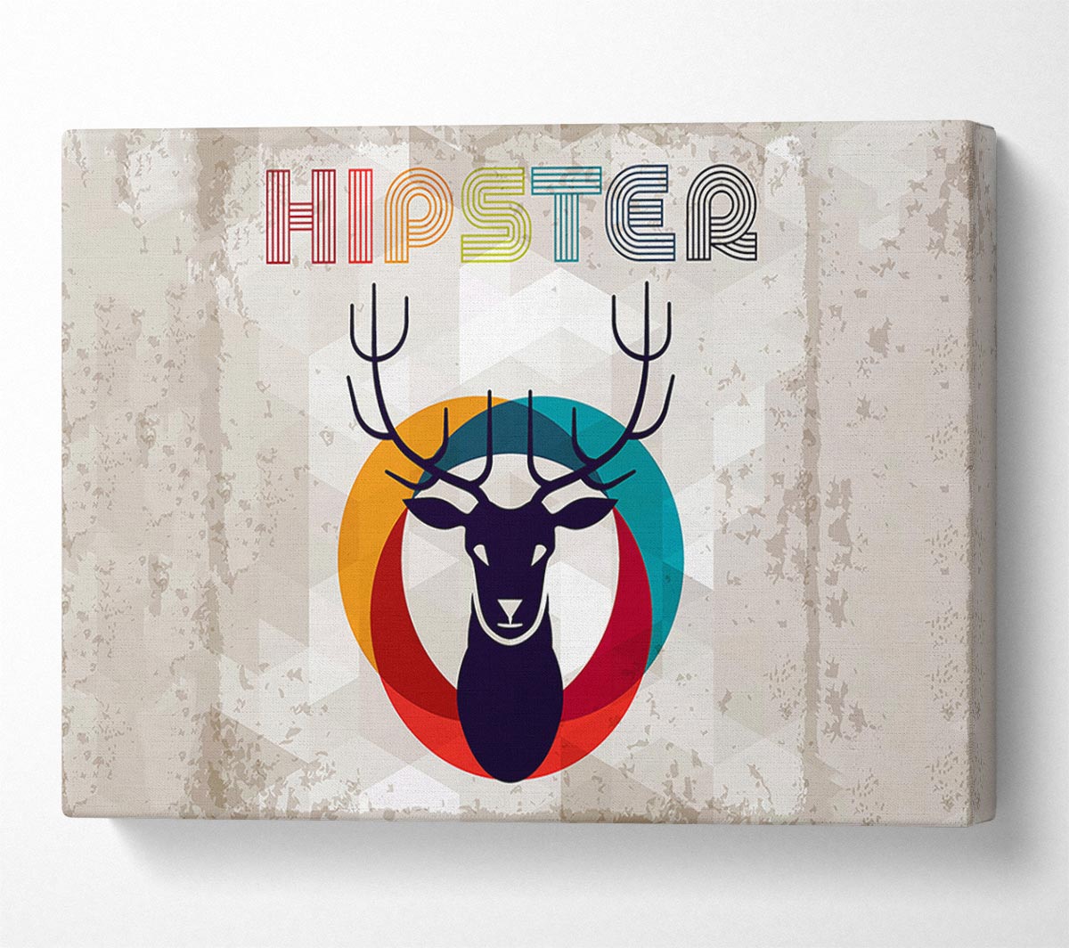 Hipster Canvas Wall Art