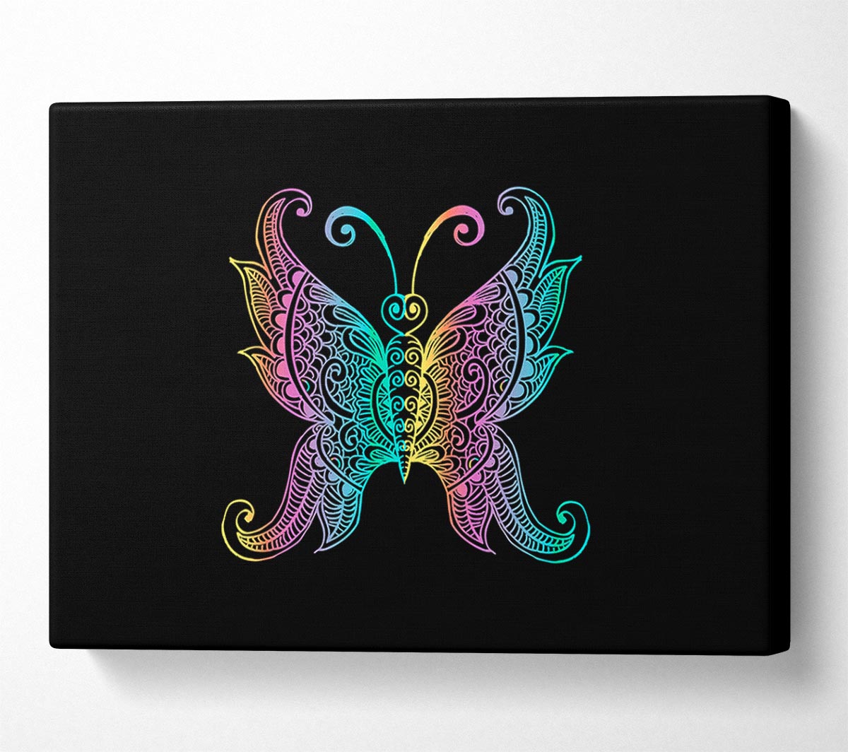 Indian Butterfly Canvas Wall Art