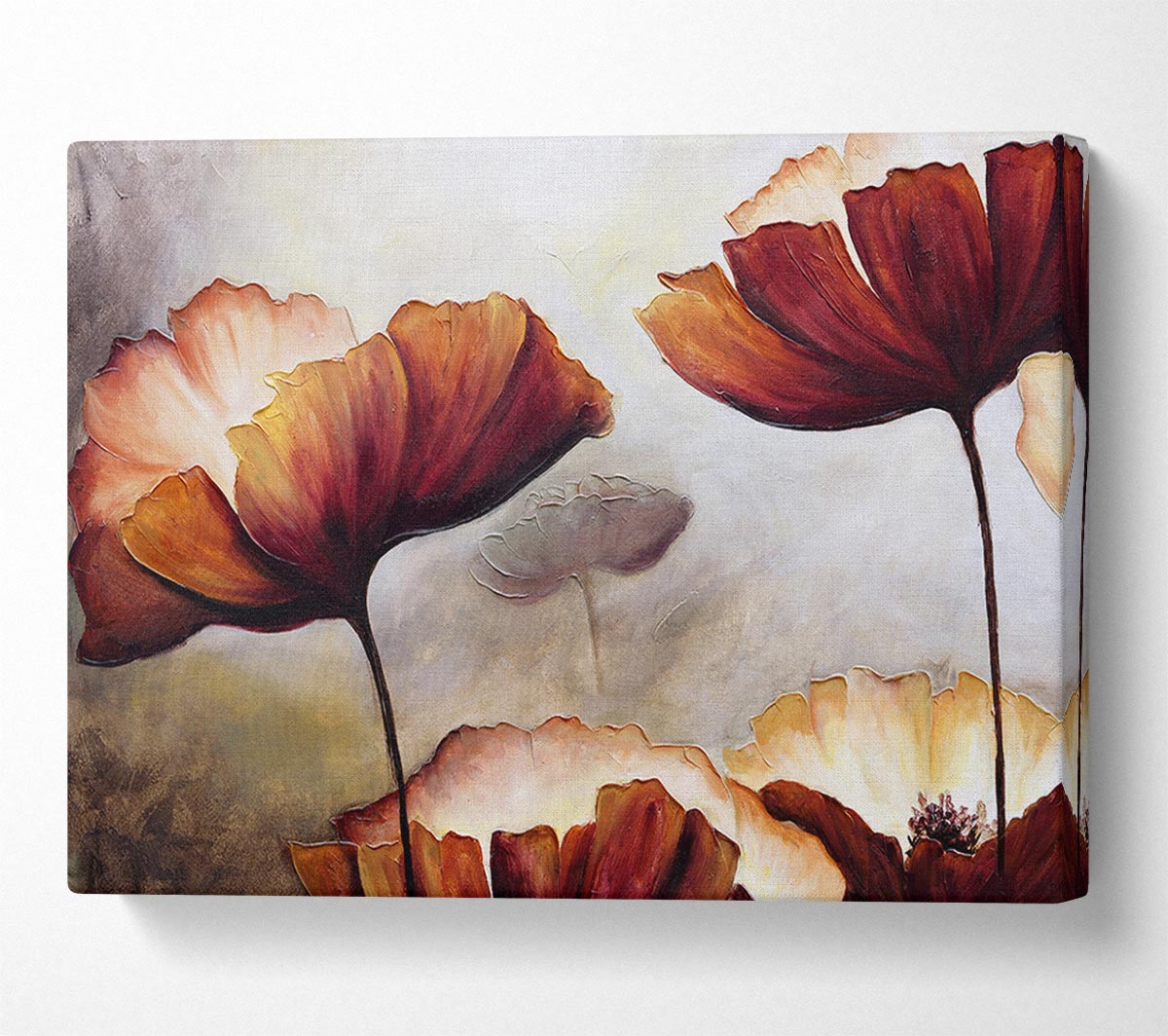 Chocolate Poppy Skies 2 Canvas Wall Art