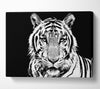 Stunning Tiger Face Canvas Wall Art