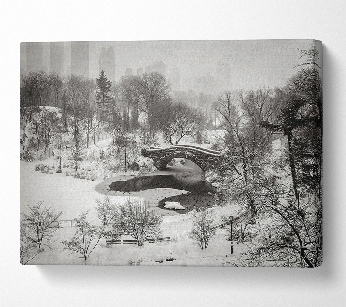 Snowing In Central Park Canvas Wall Art