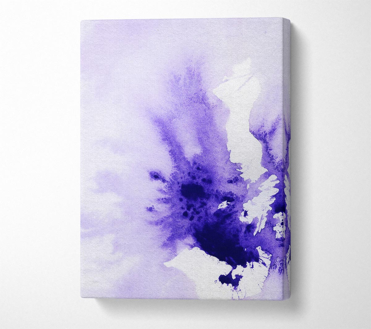 Purple Explosion Canvas Wall Art