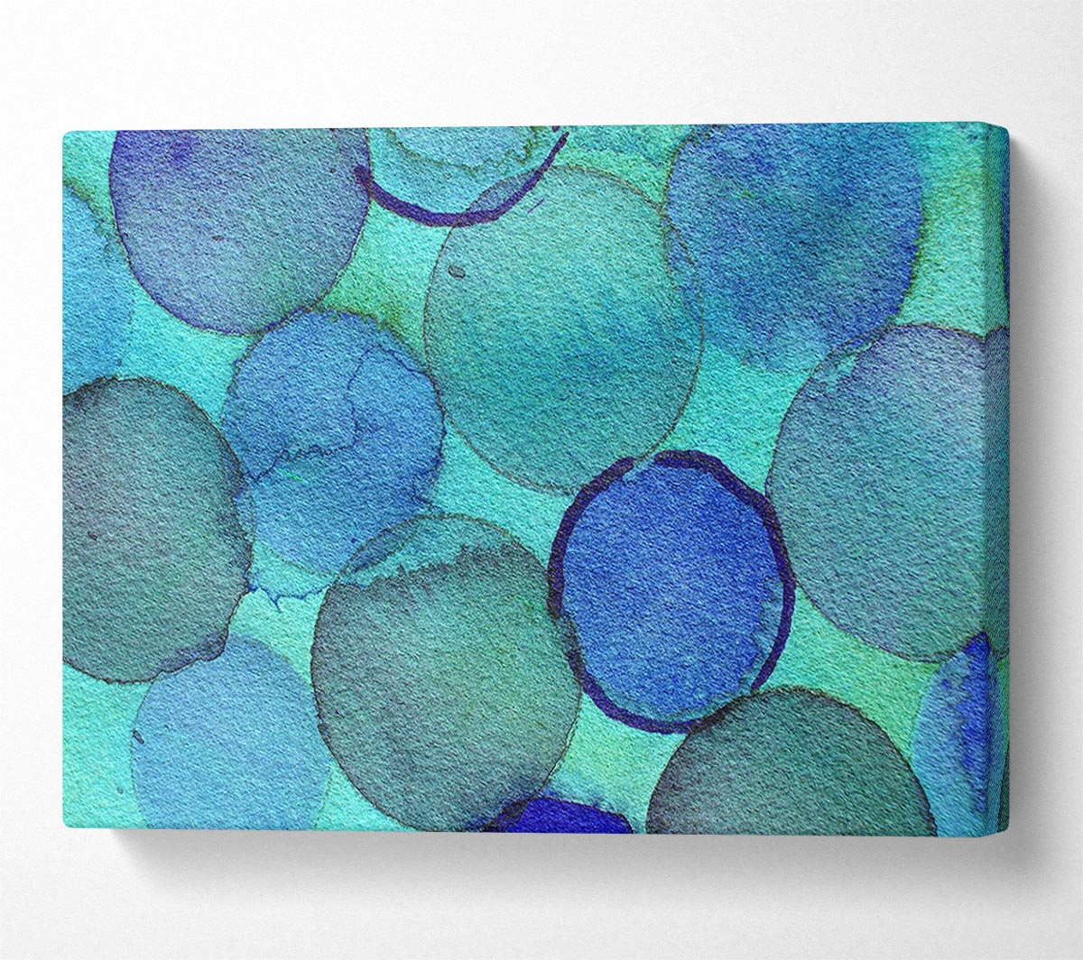Circles Of Truth Canvas Wall Art