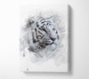 White Tiger Blue Eyes Canvas Wall Art
