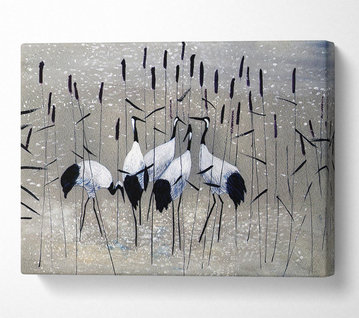 Bird Treat Canvas Wall Art