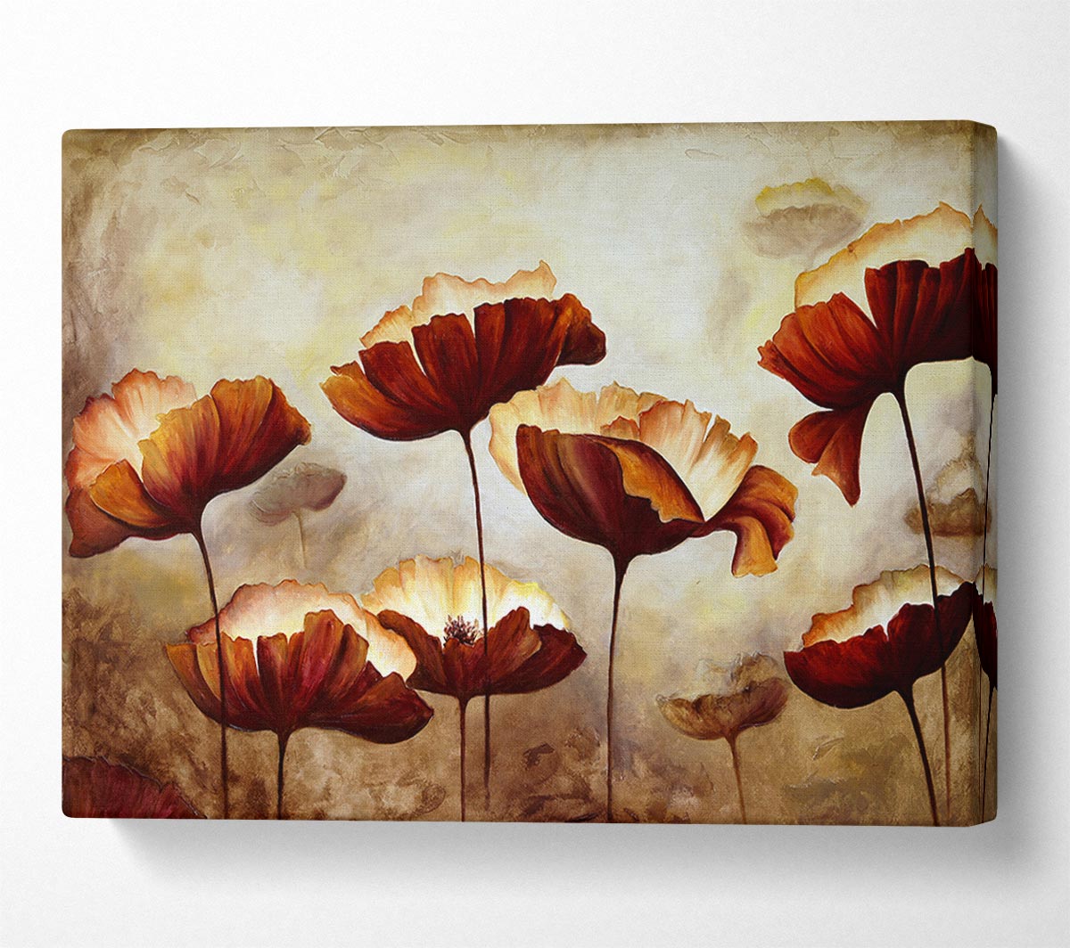 Chocolate Poppies Canvas Wall Art