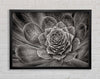 Cabbage Leaves Framed Wall Art