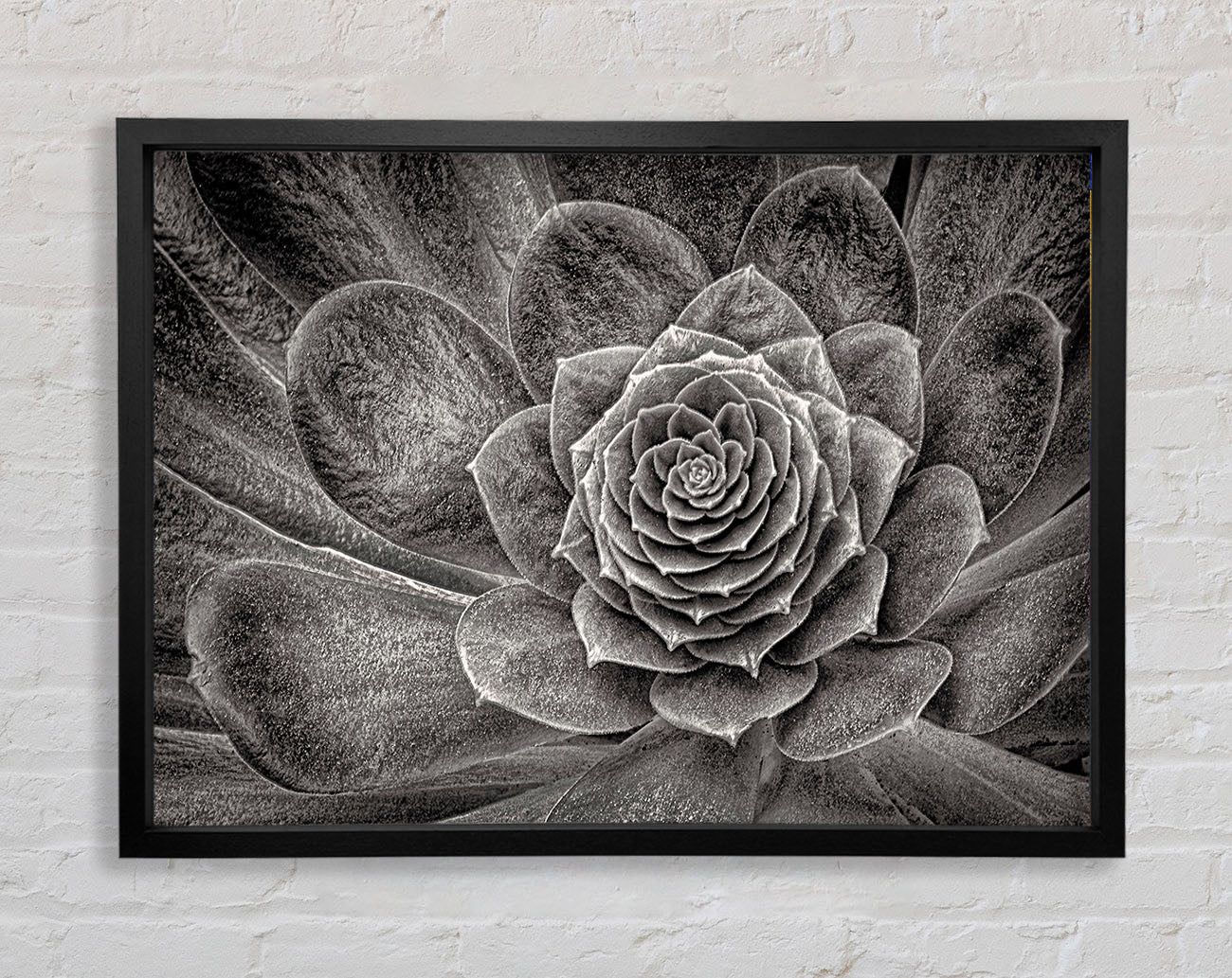 Cabbage Leaves Framed Wall Art