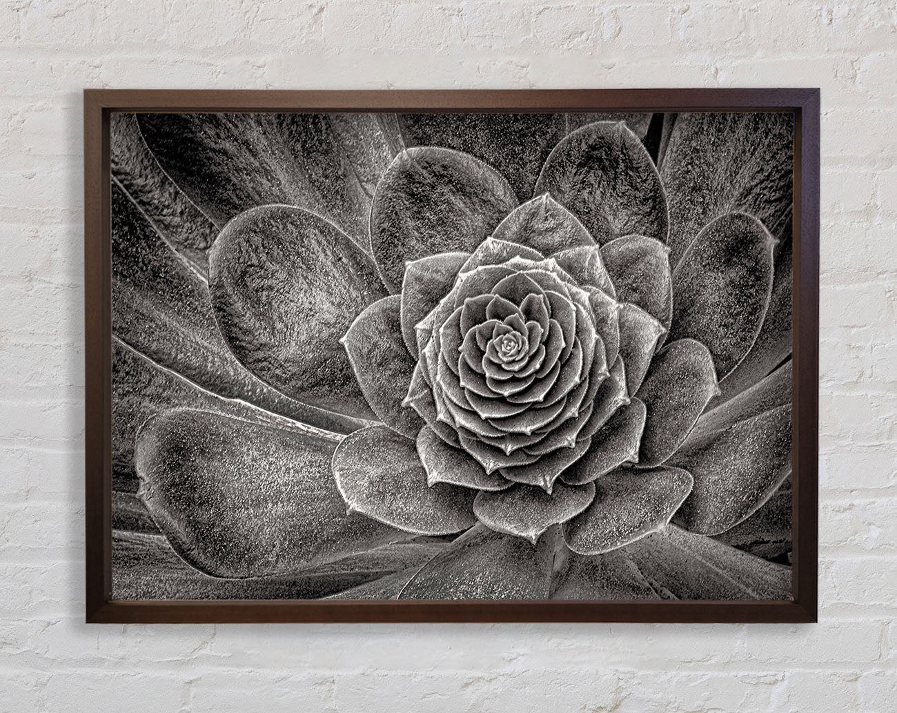 Cabbage Leaves Framed Wall Art