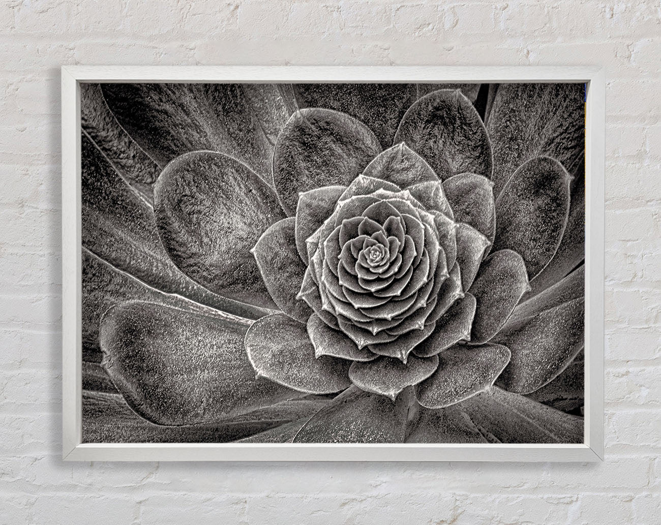 Cabbage Leaves Framed Wall Art