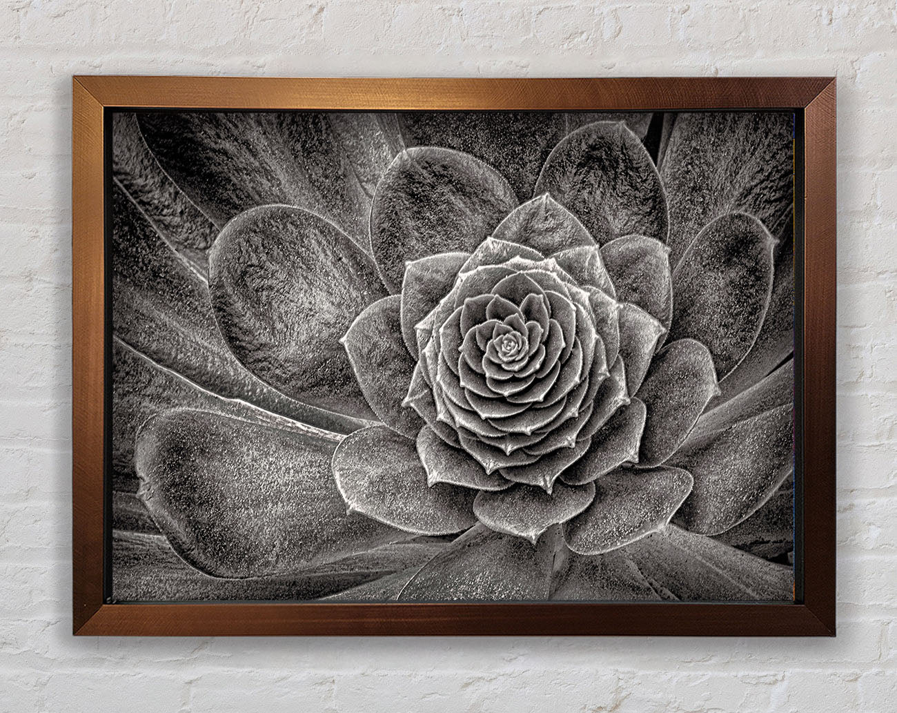 Cabbage Leaves Framed Wall Art