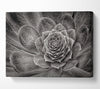 Cabbage Leaves Canvas Wall Art