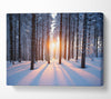 Sun Burst Snow Trees Canvas Wall Art