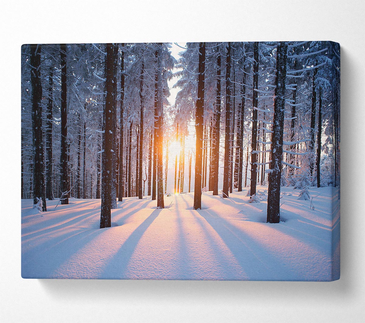 Sun Burst Snow Trees Canvas Wall Art