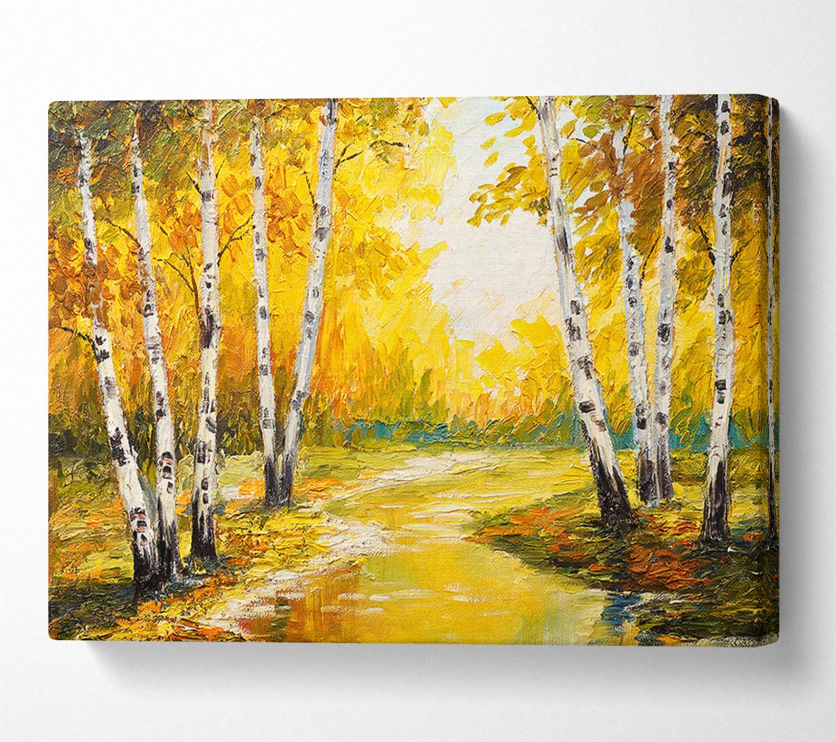 Yellow Silver Birch Walk Canvas Wall Art