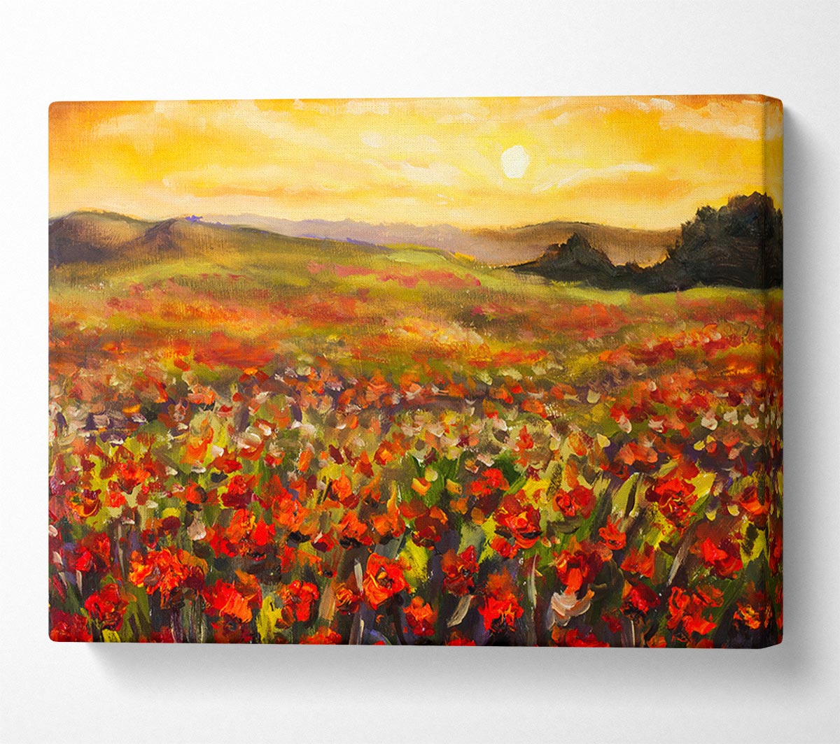 Poppy Field Sun Canvas Wall Art