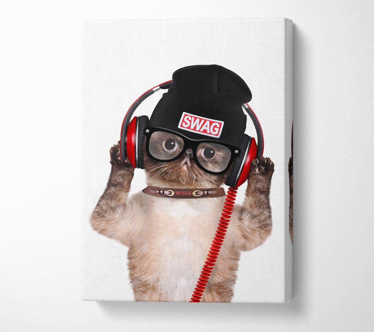Swag Cat Headphones Canvas Wall Art