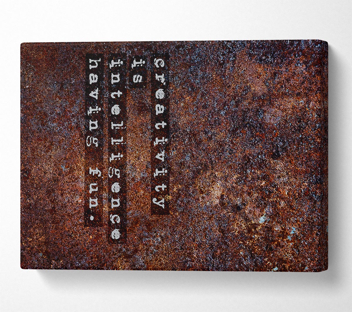 Creativity Is Intelligence Canvas Wall Art