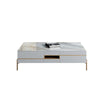 VIda Rectangle Coffee Table Set With TV Stand, Gold Leg