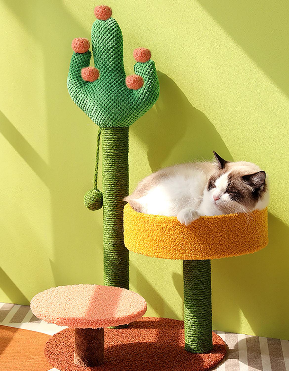 Ola's Cactus with Bed, Cat Toy, Climbing tree