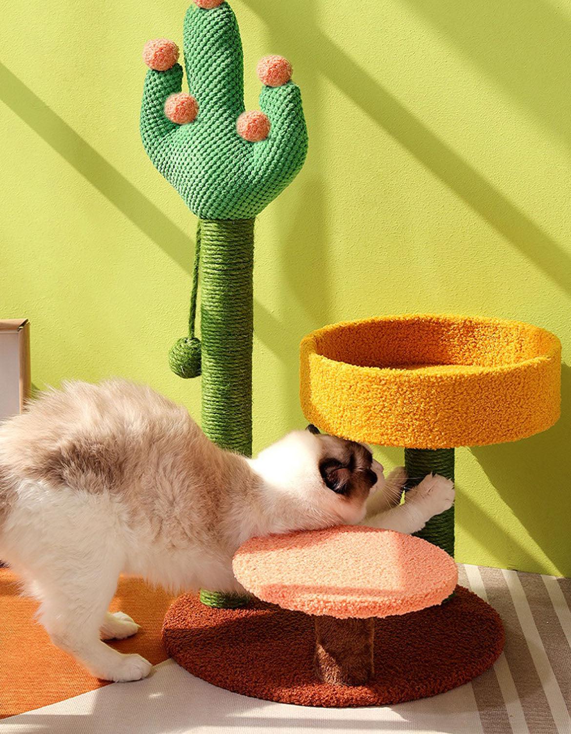 Ola's Cactus with Bed, Cat Toy, Climbing tree