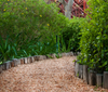 2-6mm Permeable Aggregate (SuDS)