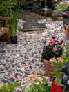 20 - 50mm Polar Pink Marble Pebbles - Zestio